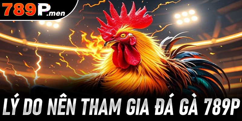Lý do người chơi nên tham gia chơi đá gà 789P